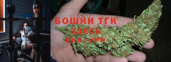 дживик Баксан