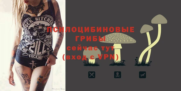 первитин Белокуриха