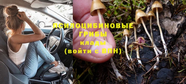бутик Бородино