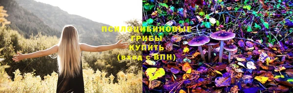 прущий лед Богородицк