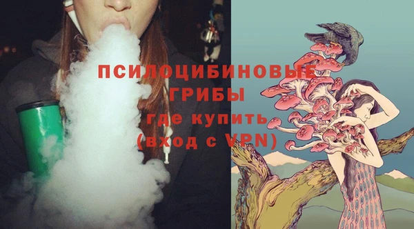 прущий лед Богородицк