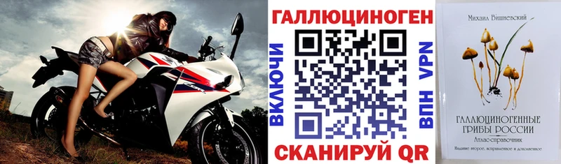 кракен ССЫЛКА  Верхоянск  Галлюциногенные грибы Psilocybe 